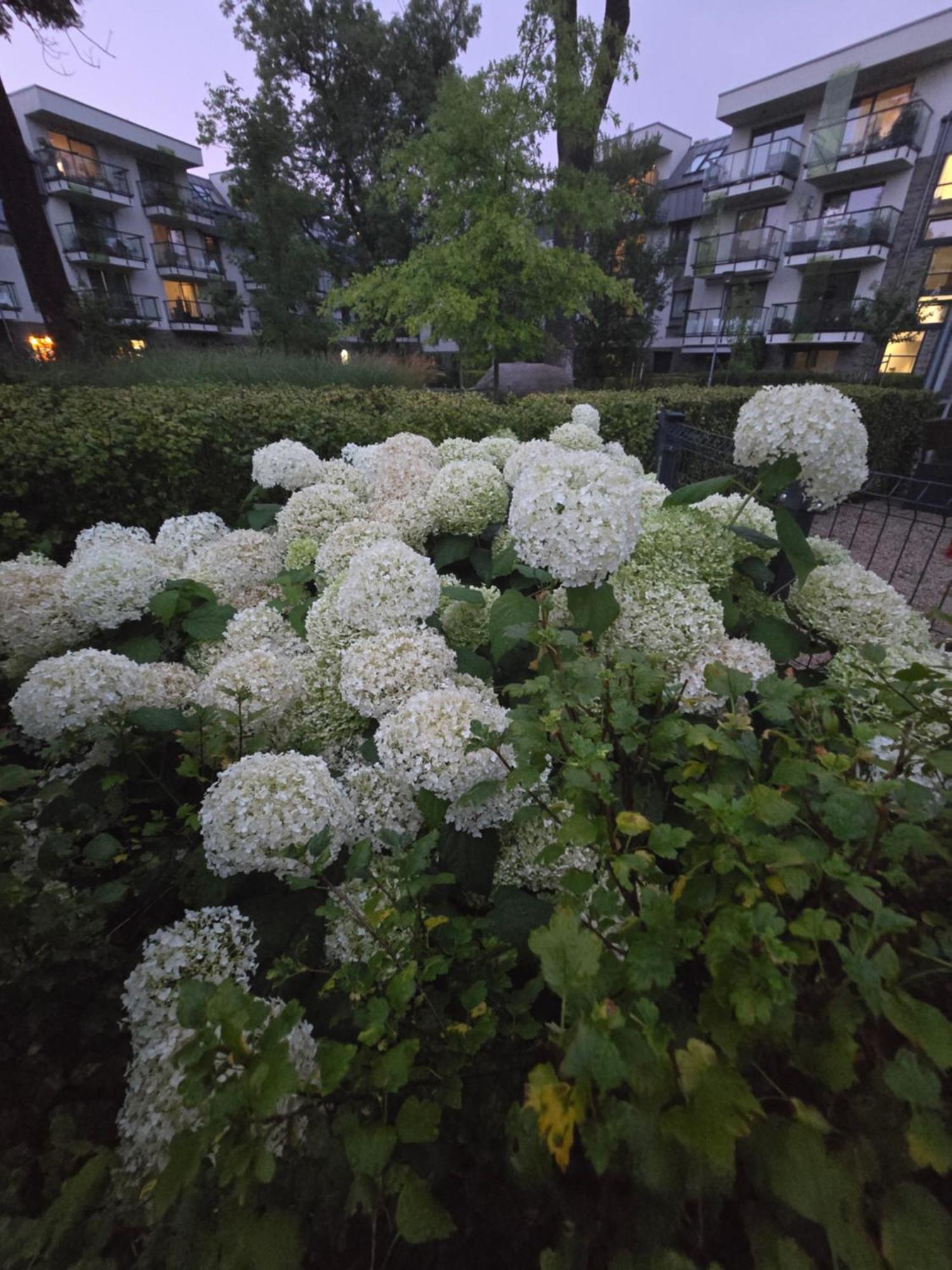Apartament Yin I Yang Vratislav Exteriér fotografie